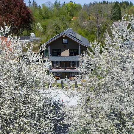 Invita Natur-chalets Penthouse - Familienurlaub Im Schwarzwald - 240qm * Bad Dürrheim