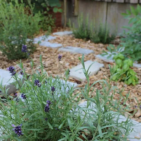 Appartement Invita Natur-chalets Penthouse - Familienurlaub Im Schwarzwald - 240qm