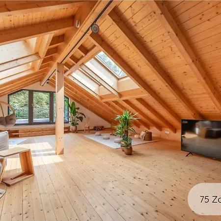 Invita Natur-chalets Penthouse - Familienurlaub Im Schwarzwald - 240qm Апартаменты Бад-Дюрхайм